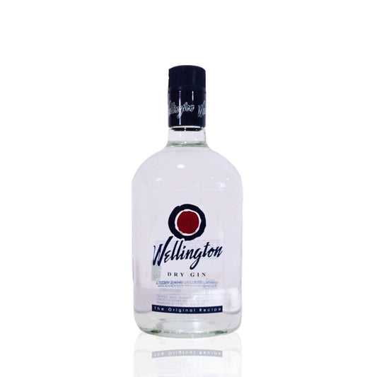 Wellintong Ginebra - Dry Gin 0,75L